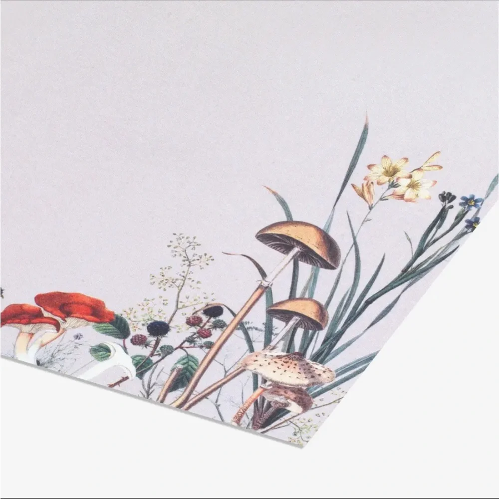 PAPIER STATIONARY NOTECARD SET WITH BOX - 12 PACK - Picture 2 of 2